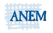 Asocijacija nezavisnih elektronskih medija (ANEM)